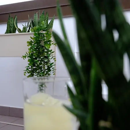 Apartamento Andrea's House